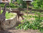 Výlet do zoo Jihla Výlet do zoo Jihla