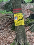Kmen stromu se žlutým plakátem